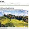 Herbst in der Steiermark: Wein, Prämiertes Steirisches Kürbiskernöl  und Klapotetz